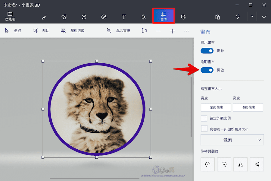 小畫家3D使用「2D圖形+魔術選取」製作圓形頭像