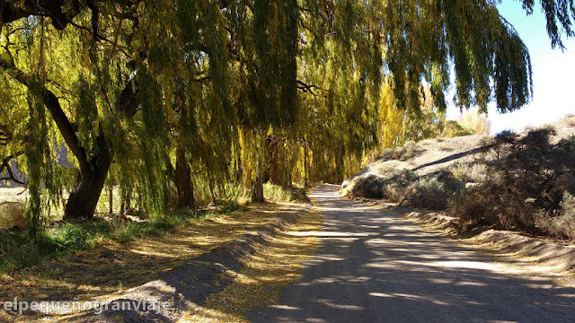 caminos, parque, nacional, leoncito, sauces, acequia, 