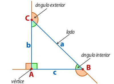 Partes del triangulo