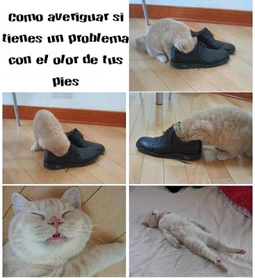 Prueba para averiguar si te huelen los pies