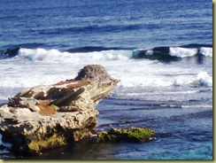 SW Rottnest