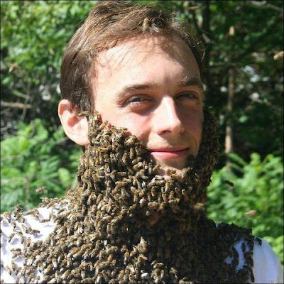 bee costume