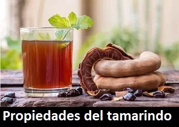 Propiedades del tamarindo