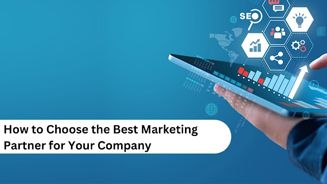 How to Choose the Best Marketing Partner for Your Company