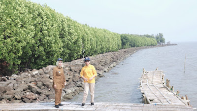 Bupati Serang Tanam 8.000 Mangrove di Pesisir Lontar