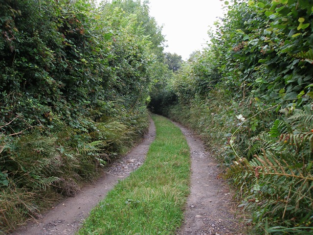 30th_august_08