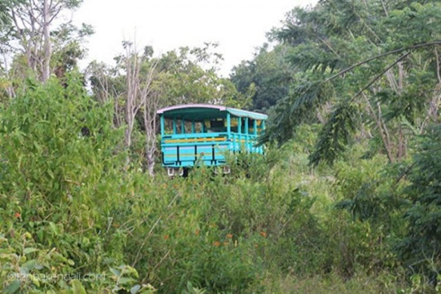 Oto kayu menuju Denge atau Dintor via www.tanpakendali.com