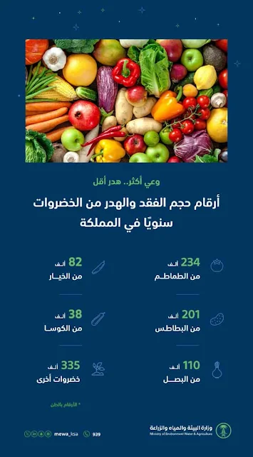 Vegetable waste in Saudi Arabia exceeds 1 Million tons annually - Saudi-Expatriates.com