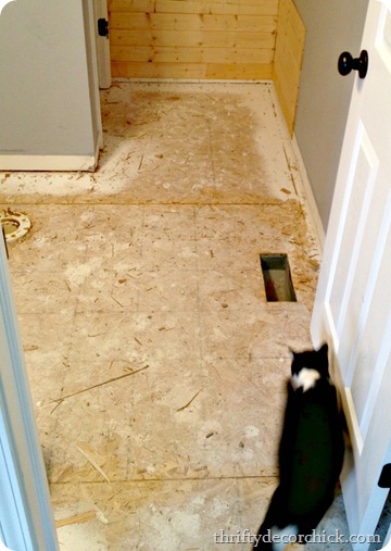 prep for hardwoods