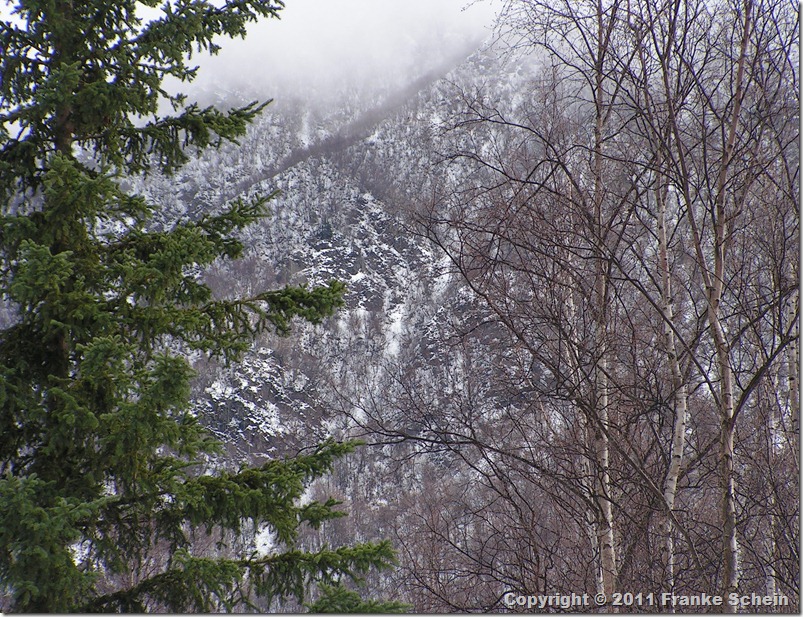 alaska1 048