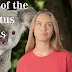 The Koalas: Guardians of the Eucalyptus Forests