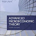 Advanced Microeconomic Theory 3rd Edition, Jehle