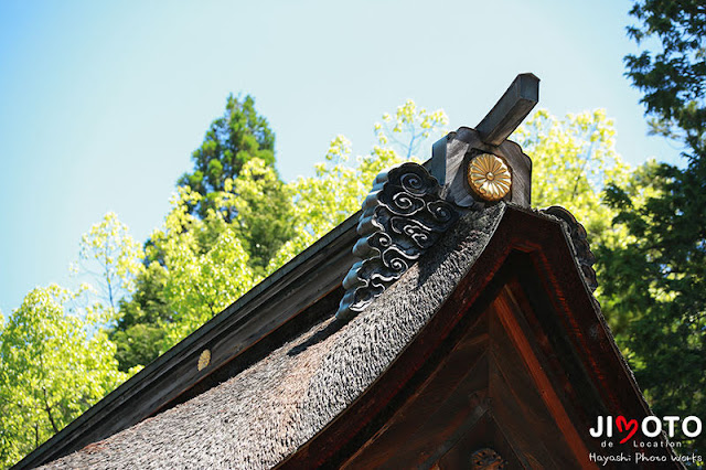 大縣神社でのお宮参り出張撮影