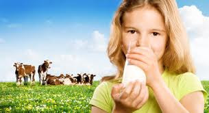 cow milk allergies babies