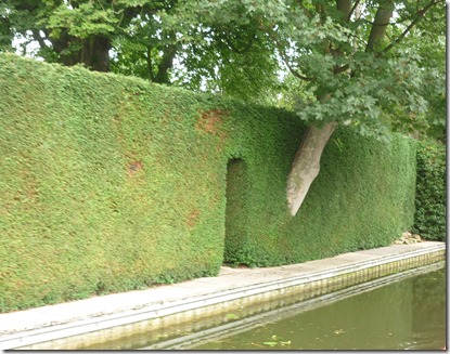 1 good hedge in m harborough
