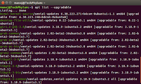 How to check upgradable list of packages on ubuntu