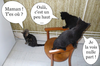 Trois chatons noirs et tabby, en escalade sur une chaise.