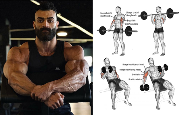 5 Best Bicep Curl Variations to Build Muscle