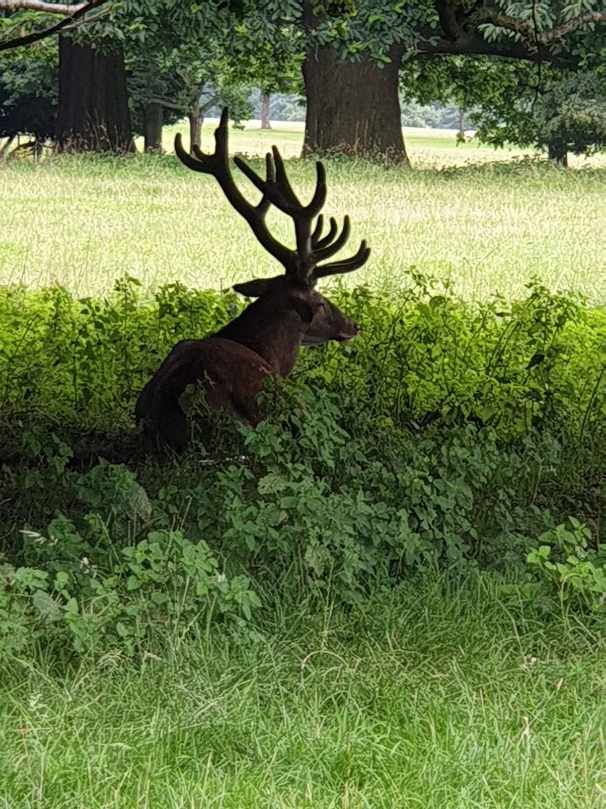 A Walk Around Wollaton Hall In Nottingham