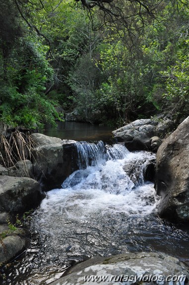 La Trocha - Rio de la Miel