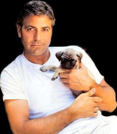 Foto de George Clooney feliz con su mascota