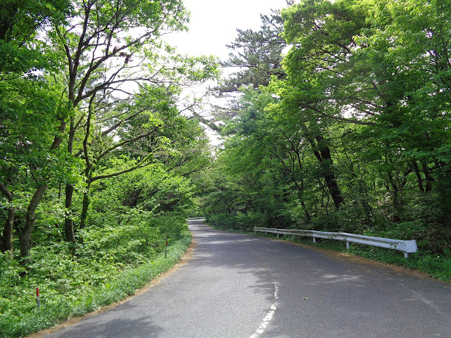 大山環状道路を帰ります