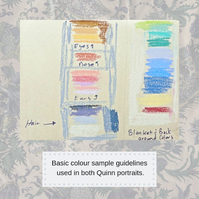 Colour samples for pet portrait Quinn.