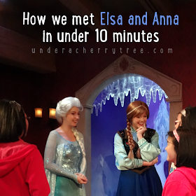 http://underacherrytree.blogspot.com/2014/06/how-we-met-frozens-princess-anna.html