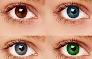 46+ Jenis Warna Iris Mata Manusia Simple Dan Minimalis