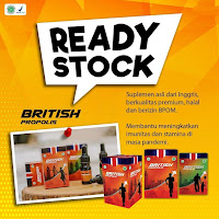 british propolis untuk lambung