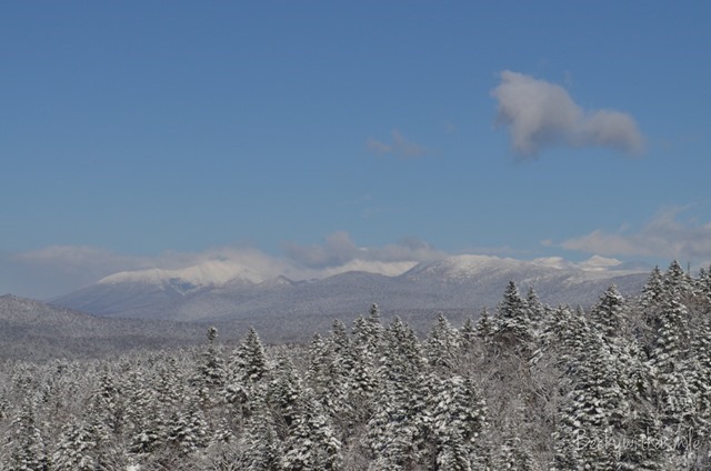 2013-11-28 Snow 007