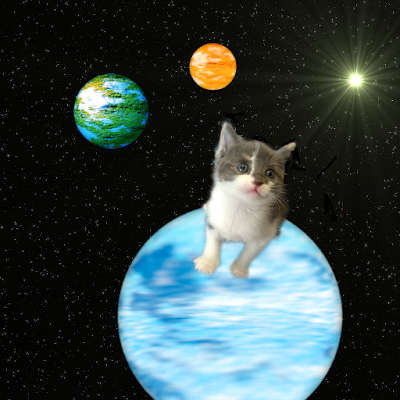 Kitten on a blue planet with two other planets and a star on a space background