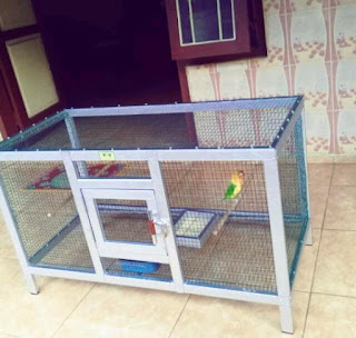 Kandang burung lovebird murah