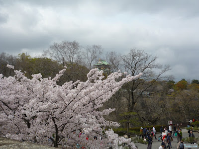 大阪城と桜