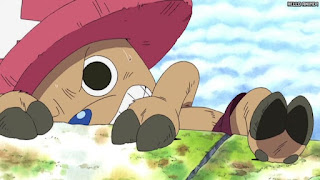 ワンピース アニメ 空島 スカイピア 162話 チョッパー Tony Tony Chopper | ONE PIECE Episode 162 Skypiea