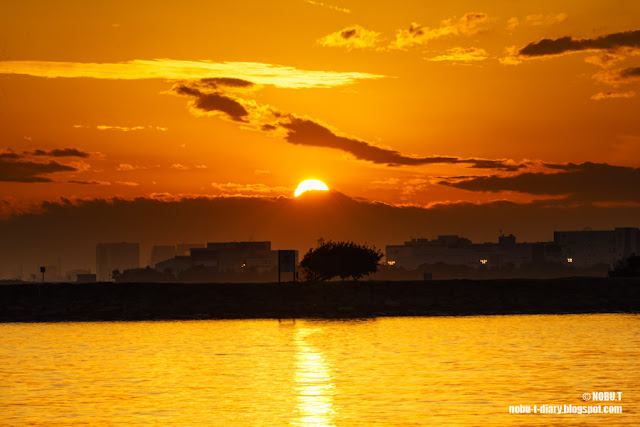 夕日のダイヤモンド富士～葛西臨海公園