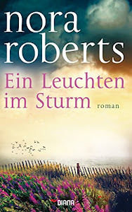 Ein Leuchten im Sturm: Roman