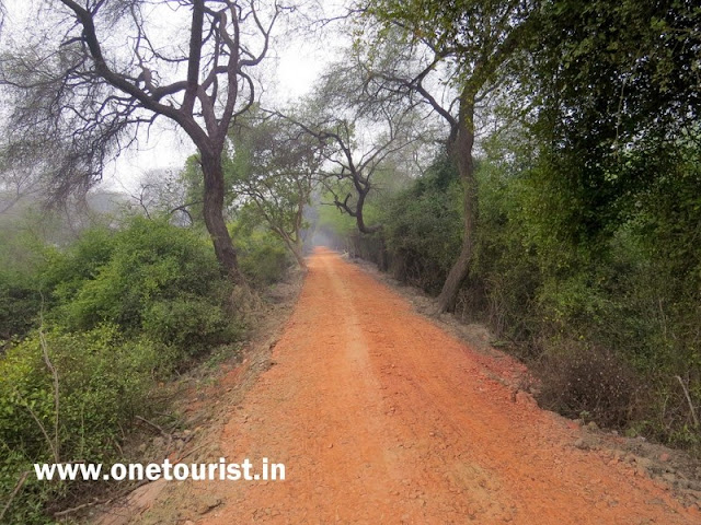 bharatpur bird sanctuary ,ghana , rajasthan , केवलादेव नेशनल पार्क , घाना , राजस्थान 