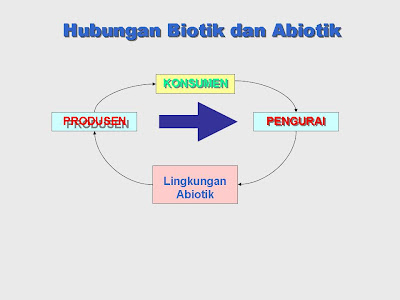 Hubungan Antarkomponen Ekosistem BAHAN AJAR GURU