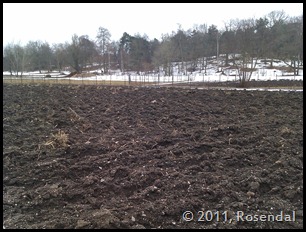 rosendal1