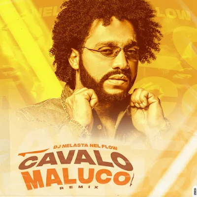 DJ Nelasta Nel Flow - Cavalo Maluco (Remix) [Download]