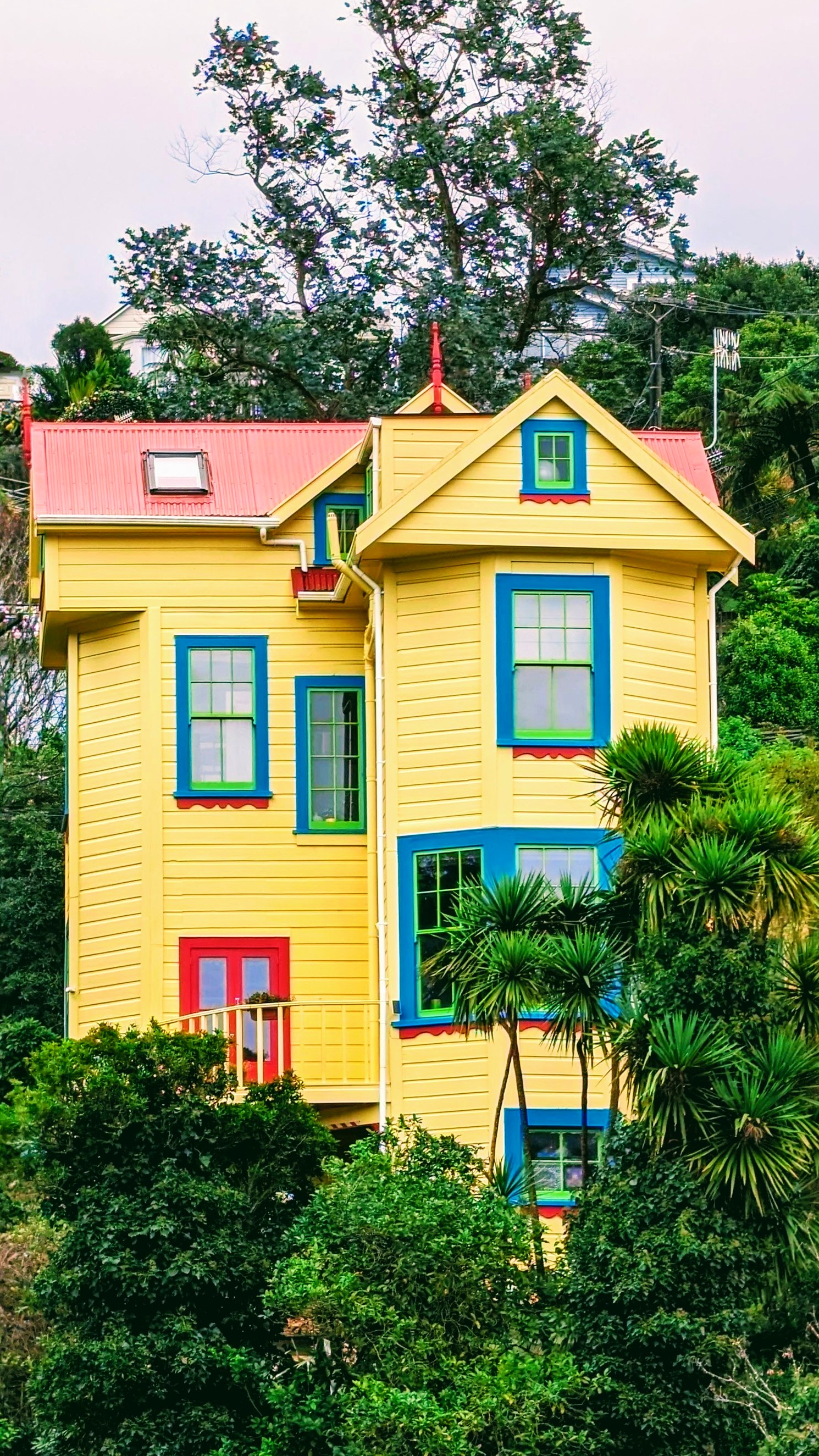 A tall and thin four story house painted bright yellow with blue window frames and red door and roof. It stands amongst vibrant green of native AoNZ trees