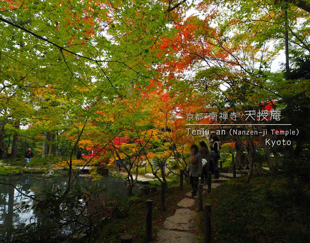 京都 南禅寺･天授庵：池泉回遊式庭園の紅葉