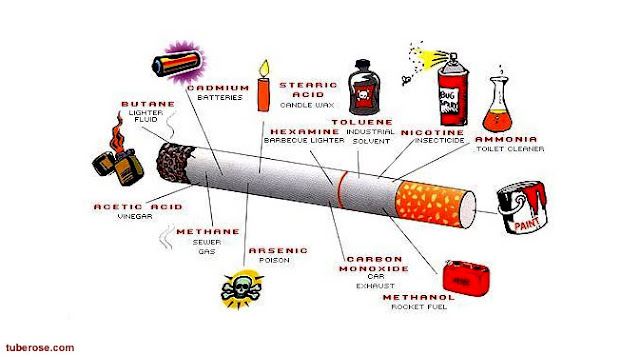 8 Serangan Penyakit Yang Mengincar Pecandu Rokok
