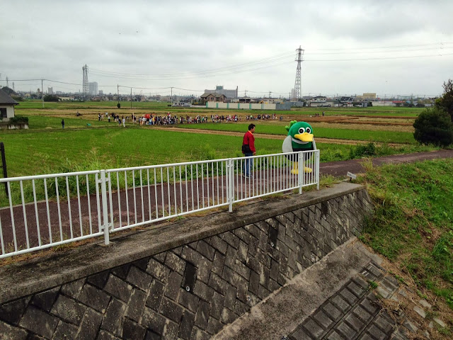 こしがや田んぼアート2013ウルトラマン（収穫祭・稲刈り体験）