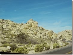 DSCN2821