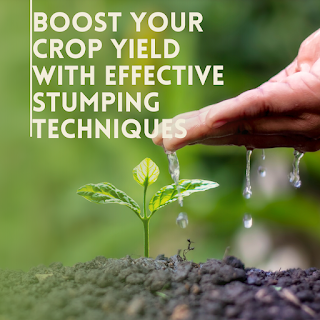 Boost Your Crop Yield with Effective Stumping Techniques