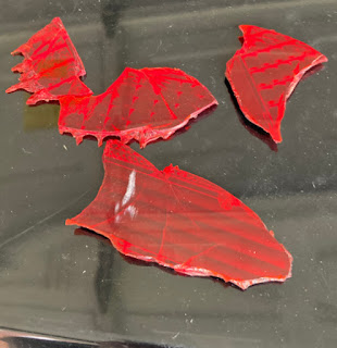 pieces of a broken tail light