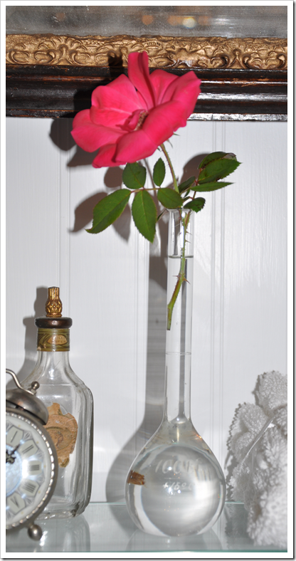 beaker1