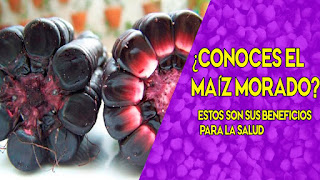 Beneficios del maiz morado